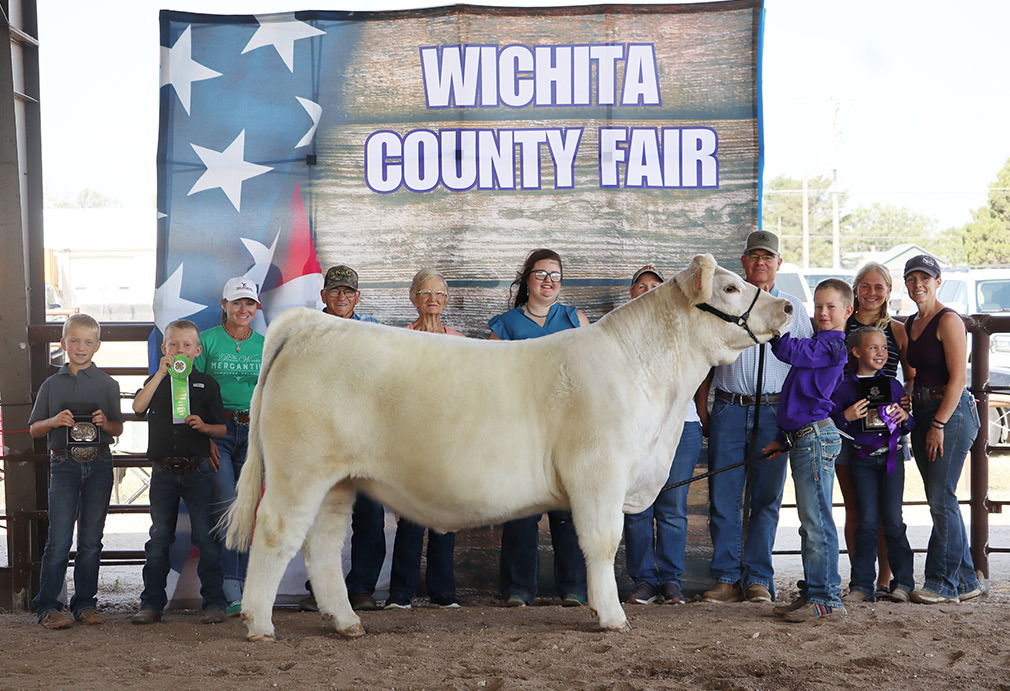 Grand Champion Market Steer - Cauy Larson