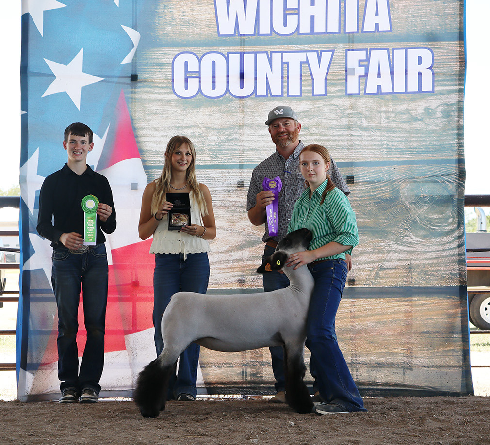 Grand Champion Breeding Ewe - Faith Marcy