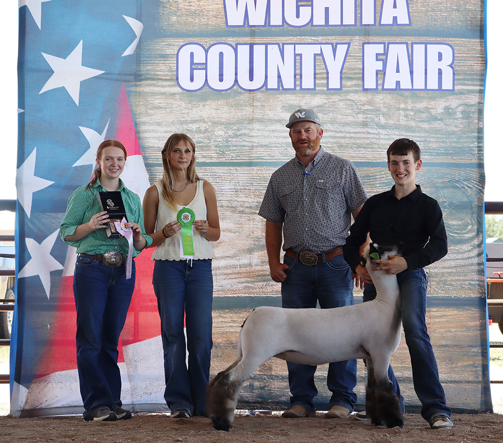 Reserve Champion Breeding Ewe - Zach Marcy