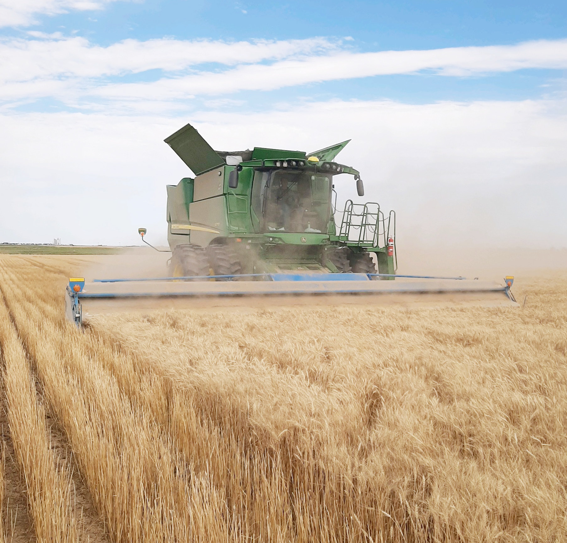 The 2026 Wheat Harvest has arrived in Wichita County. In this Native Sun file photo, a local farm family begins their harvest.