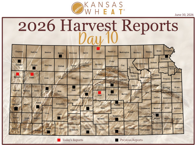 Day 10, Kansas Wheat Harvest Report