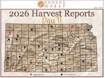 Day 11, Kansas Wheat Harvest Report