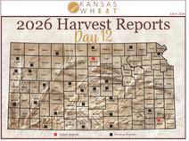 Day 12, Kansas Wheat Harvest Report