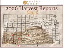 Day 4, Kansas Wheat Harvest Report