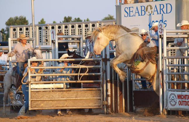 A Friday Night Rodeo Saddle Bronc Rider. Did he make 8?