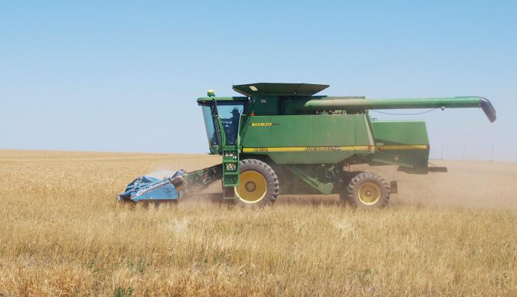 Cantankerous Mother Nature Disrupts, Delays Harvest