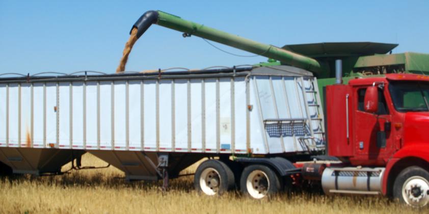 Cantankerous Mother Nature Disrupts, Delays Harvest