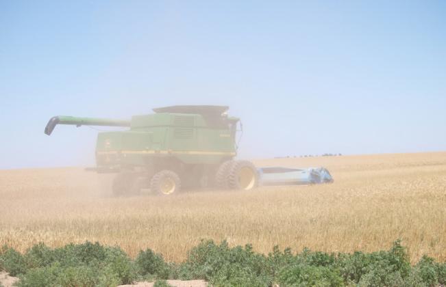 Cantankerous Mother Nature Disrupts, Delays Harvest