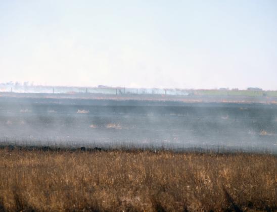 LVFD Fights Field, Ditch Blazes near Lydia