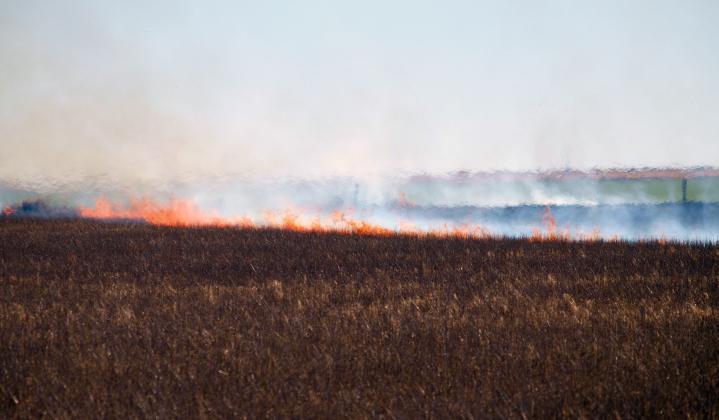 LVFD Fights Field, Ditch Blazes near Lydia
