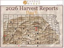 Day 6, Wheat Harvest Report