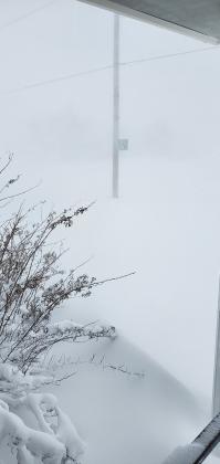 Above are views from your editor’s front door around 3pm Monday. It’s always a good indicator that weather is fierce when the neighbor is hard to see (left) or completely obscured (right).