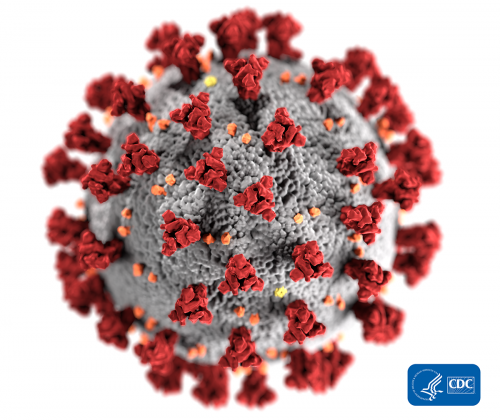 Coronavirus