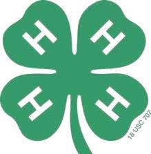 Wichita Co. 4-H’ers Compete at Regional 4-H Club Day