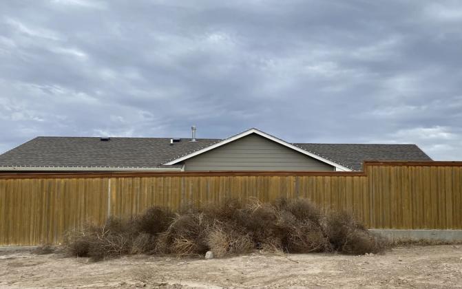 A pile of tumbleweeds cling together at the edge of town in Garden City. Calen Moore/Kansas News Service
