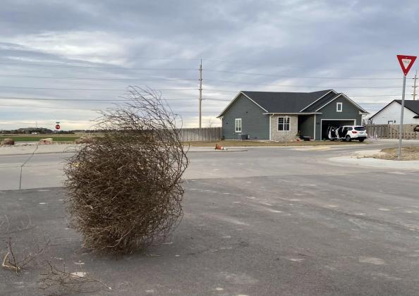 A tumbleweed rolls through a neighborhood in Garden City. Calen Moore/Kansas News Service