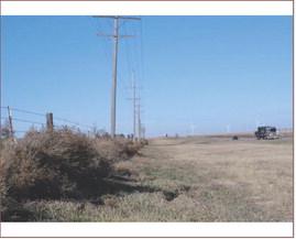 Tumbleweeds caught in a fence by a highway in Ford County. When collected like this, they can be a fire hazard. Calen Moore/Kansas News Service