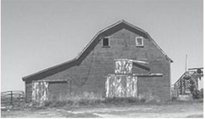 An old barn stands on an abandoned homestead in southwest Kansas. (Kevin Hardy/Stateline)