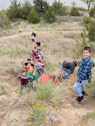 Field Trips