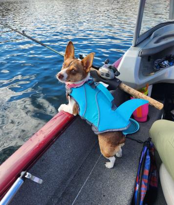 Meet R2, Reagan and Rita Smith's new rescue pup. According to Rita, Miss R2 is an enthusiastic fisher, even if she isn't quite sure what to do with the fish once they're in the boat. (provided)