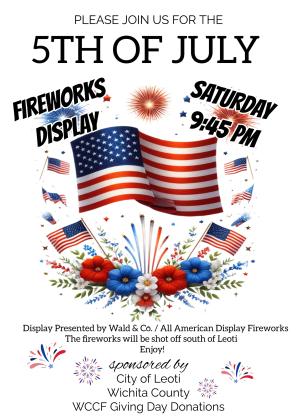 Public Fireworks Display