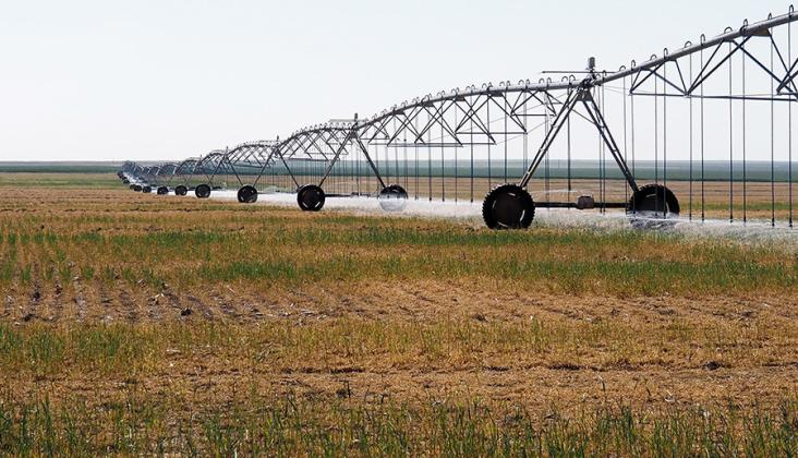 Kansas farm income in 2025 is expected to be the second highest in the past 20 years, bolstered by government payments that addressed weather challenges and depressed crop prices. (Kevin Hardy/Stateline)