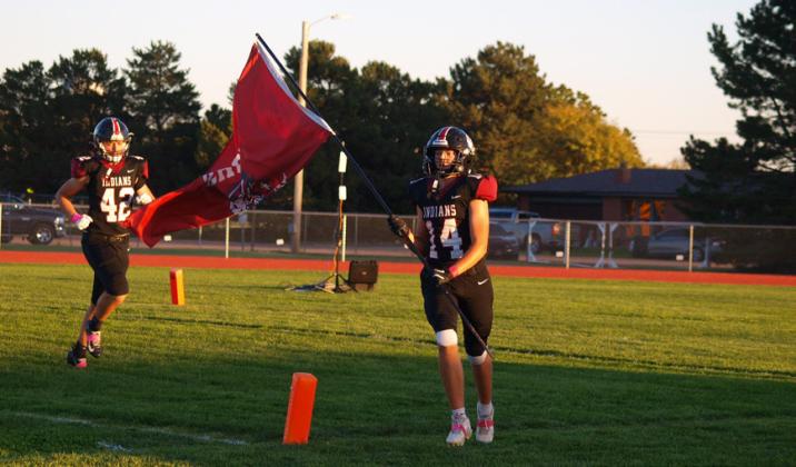 Indians Take Down Larks