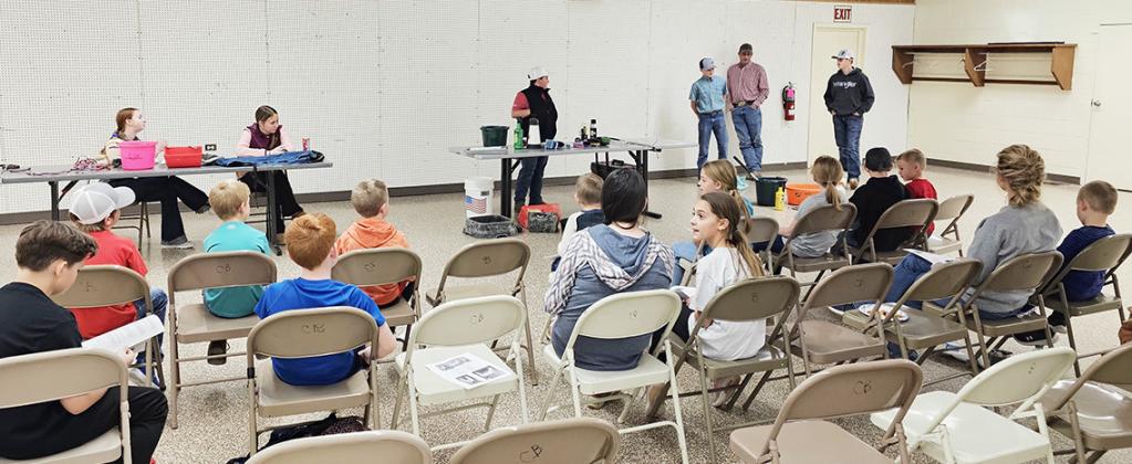 Area 4-H'ers Enroll in Livestock Projects