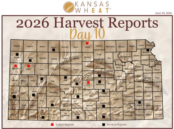 Day 10, Kansas Wheat Harvest Report