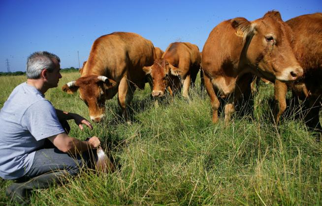 Livestock Investigations Special Agent to give briefing in Leoti