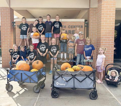 Lydia Jayhawkers 4-H Club participates in 4-H Service Challenge