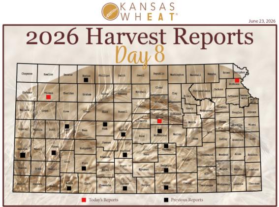 Day 8, Wheat Harvest Report