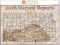Day 2, Kansas Wheat Harvest Report