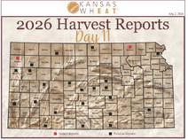 Day 11, Kansas Wheat Harvest Report