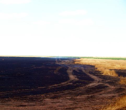 The charred remains of the stubble, still smoking.