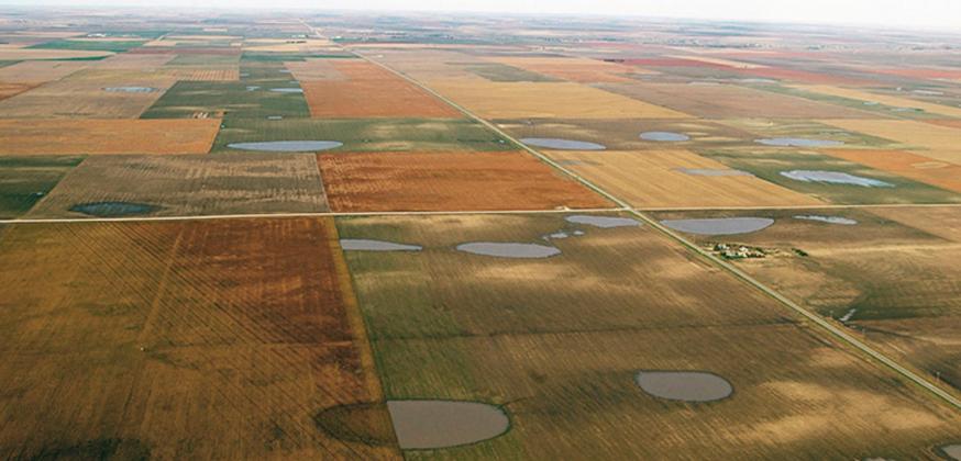 Kansas Geological Survey at the University of Kansas is embarking on a two-year study of playas that hold water during wet periods in Scott County and elsewhere to better understand their role in recharge of the underground Ogallala aquifer. (Bill Johnson/Kansas Geological Survey)