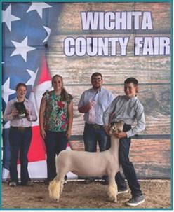 Reserve Champion Breeding Ewe – exhibited by Zach Marcy