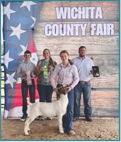 Reserve Champion Market Goat – exhibited by Faith Marcy