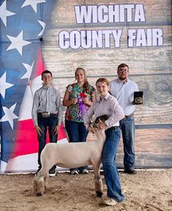 Reserve Champion Market Lamb – exhibited by Faith Marcy