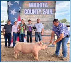 Grand Champion Market Hog – exhibited by Zach Marcy