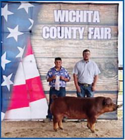 Reserve Champion Breeding Gilt – exhibited by Gage Kreutzer