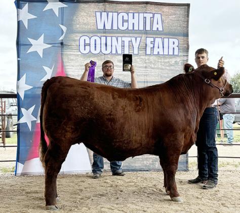 Grand Champion Steer – exhibited by Zane Gerstberger