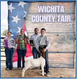 Grand Champion Market Goat – exhibited by Zach Marcy