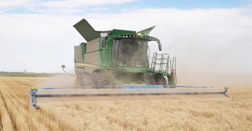 It’s Summer Harvest Time!
