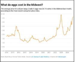 Highly pathogenic avian influenza has infected more than 130 million birds in the U.S. since it first emerged in 2022, according to the U.S. Centers for Disease Control. Skyler Rossi/Harvest Public Media