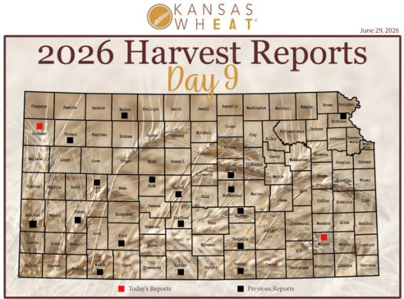 Day 9, Wheat Harvest Report