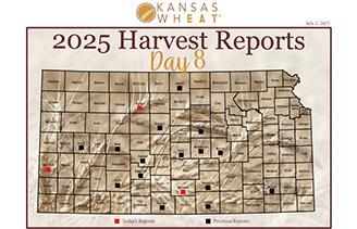 Day 8, Kansas Wheat Harvest Report 2025