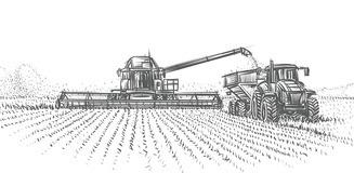 Day 1, Kansas Wheat Harvest Report