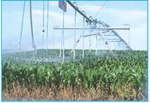 A center pivot sprinkler pumping water on crops in southwest Kansas. Calen Moore/Kansas News Service