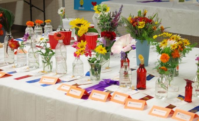 The Floriculture exhibits in the Community Building are colorful and fun.